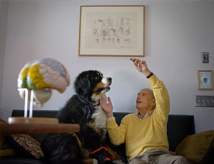 极速到账的攻击网站的方法