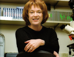 一键状态恢复的ddos网页端