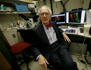 找正规ddos压力测试平台